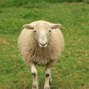 Hey What About Me.JPG